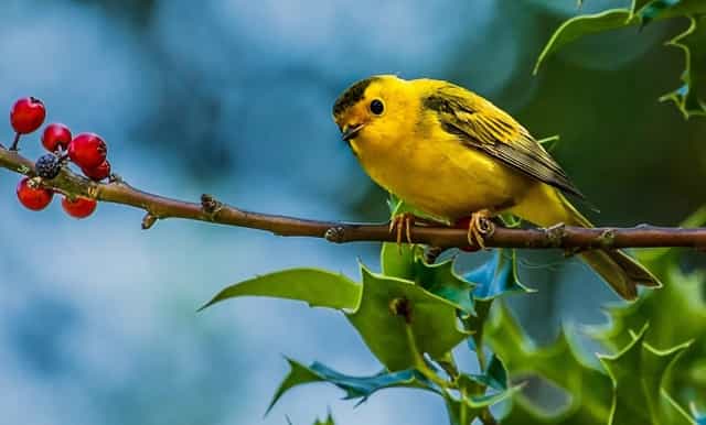环卫工人晚上巡逻图片(环卫工人扫地图片)