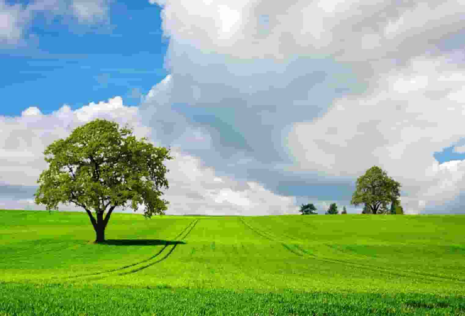 摩托车考试系统,科目二考试系统，科目三考试系统哪家好？