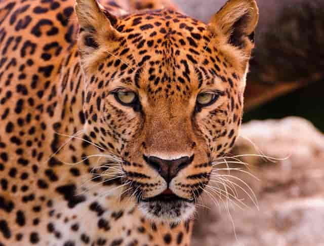 怎样判定混凝土主体结构质量好坏？看这三个指标就行！