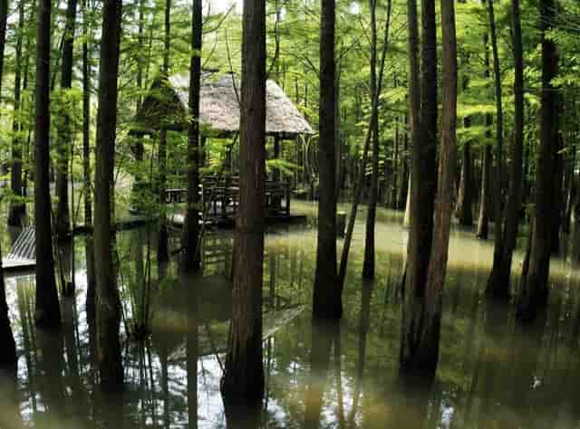 摩飞（4头）艾灸仪以“艾”之名与科技同行让艾灸更简单