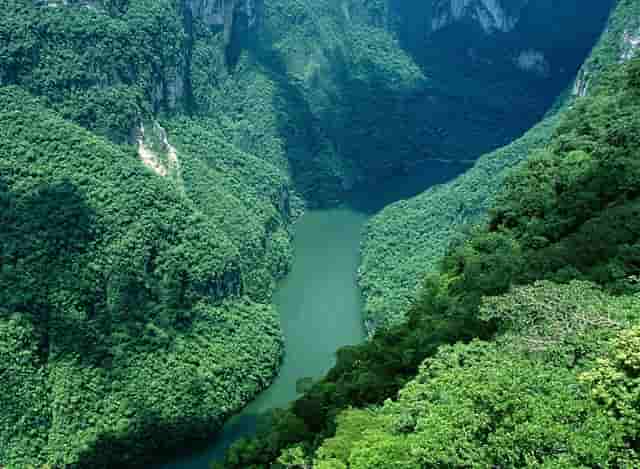 胡海泉灥喜锅火锅调料调试方法分享以及刷火锅注意事项