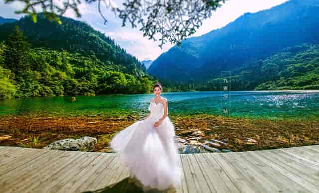 袖虎病狗攻略：狗身上碰不得的7个地方，小心无知被狗咬