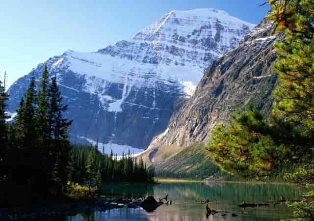 深圳ESD厂家哪家好？用于扫地机器人超低容值ESD保护器件4