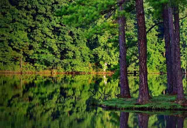 灥喜锅如何做火锅店生意呢？学会这招就足够！