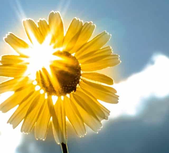 100个微信生活技巧(微信让生活更美好100字)