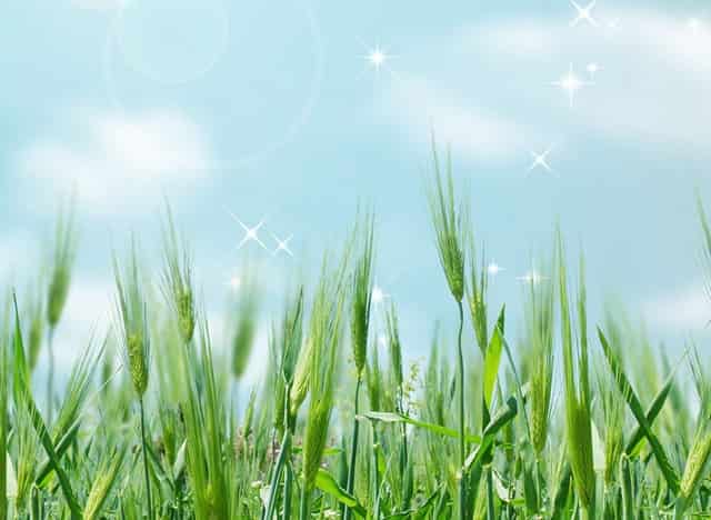 透析后血压高心跳加速