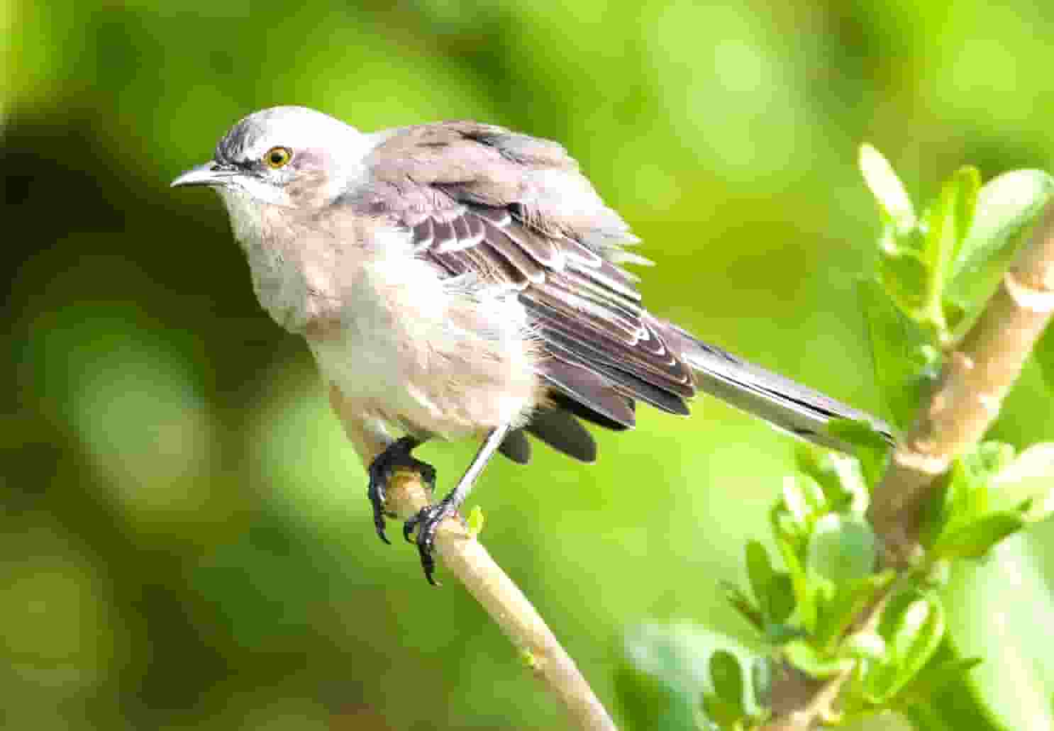 节能减排大创(节能减排大创项目)