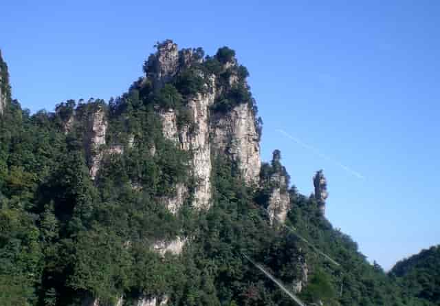 胡海泉本宫的茶为什么受到年轻人的喜爱？