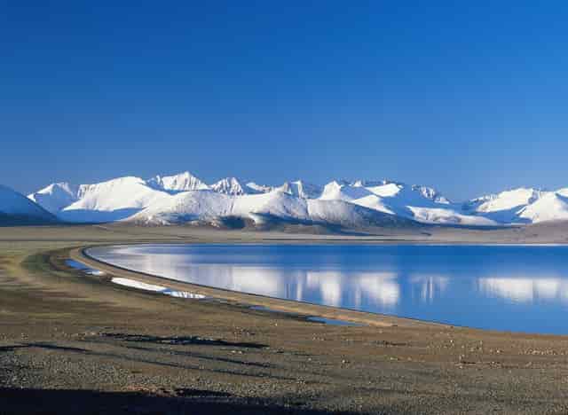 美股跌最多的人(美股涨得最多的股票)