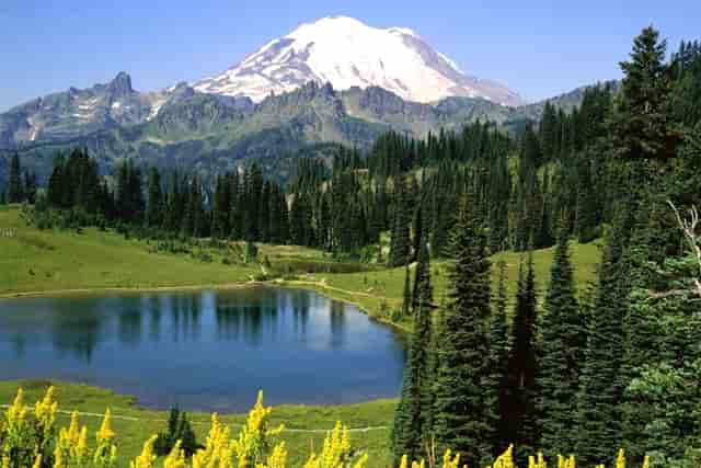 老婆说她不是我老婆了(女朋友说她不是我老婆)