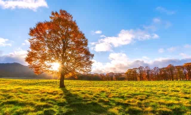 售后软件要拥有哪些功能，才能为企业带来显著的收益呢？