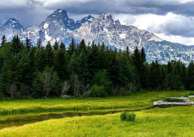 领武学校致2021：前路浩浩荡荡，万事皆可期待