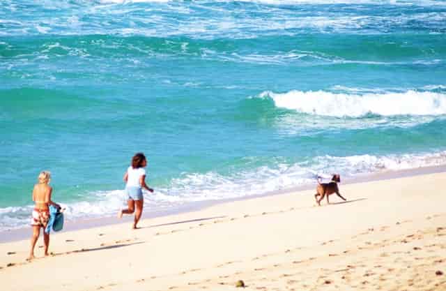 知乎携手京东、品牌商家，共创 11.11 家电家居消费指南