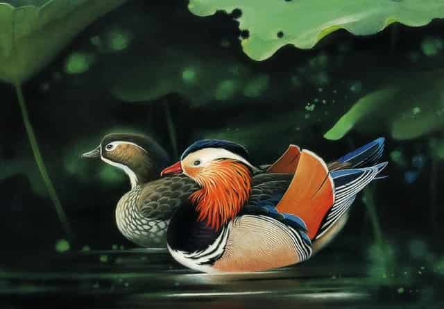 教师选调岗位一览表(2020年丰城市教师选调岗位)