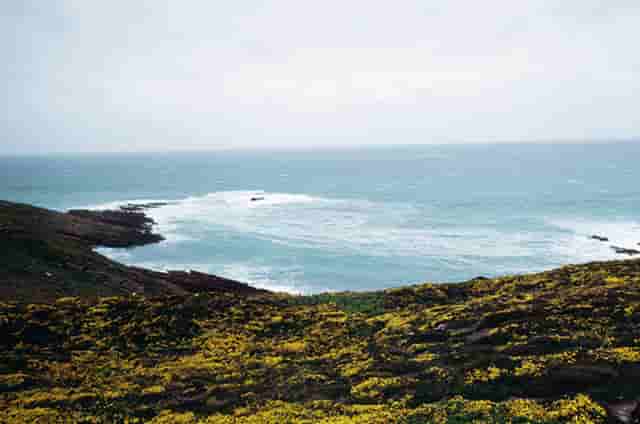东莞奥飞诺生产的USB，连接器TYPEC的应用范围和优点