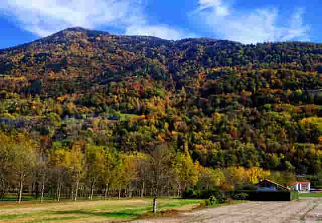 西比曼生物科技正式启用全新英文标识“AbelZeta