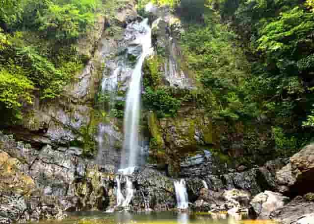 袖虎病猫攻略：猫咪驱虫药选择