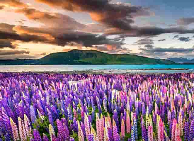 深圳评估公司给大家介绍整体资产评估的相关内容!