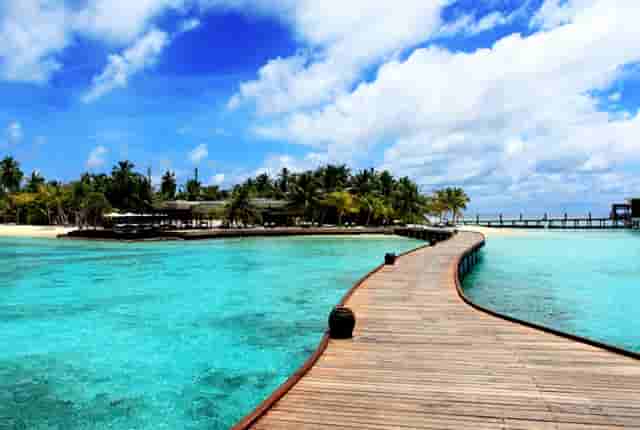 宠物经济爆发，袖虎宠物在行业中如日中天！