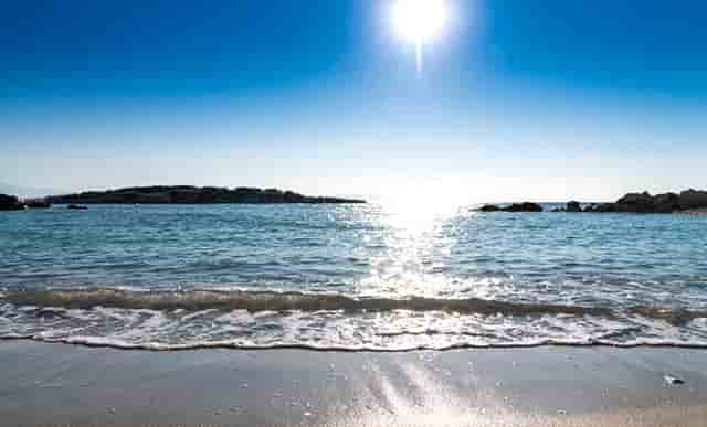 袖虎病猫攻略： 猫咪便秘怎么治疗