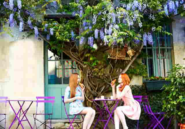 STAUFF西德福SMK20-JIC3/8-PK-C6F接头