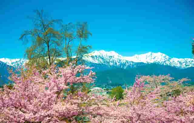 2021年自考本科报名时间需要具备什么条件