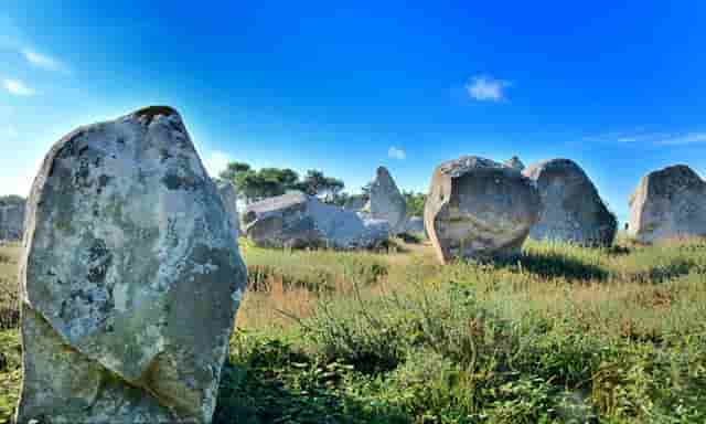 袖虎病猫攻略：猫咪突然不吃东西，很可能是这个原因