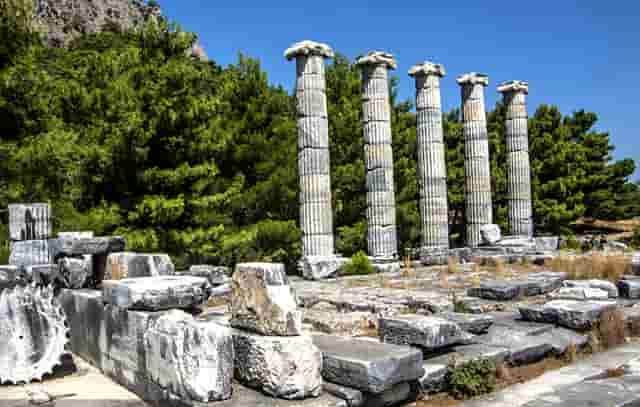 河北搭建网校系统，在线网校系统平台有哪些软件