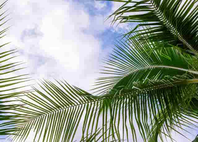 西比曼和杨森进一步深化合作  共同推动细胞治疗产品中国商业化进展