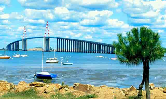 西比曼双靶点CAR-T产品C-CAR039国内IND申请正式获批