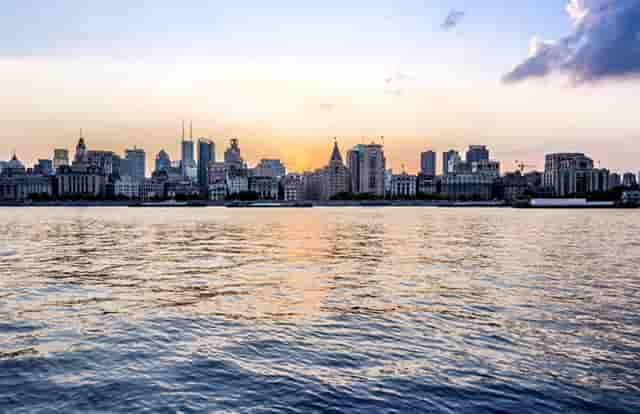 袖虎病猫攻略：猫咪怀孕的前兆有哪些