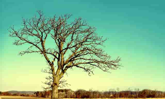 2021宜昌特岗教师(2021宜昌农村义务教师资审)