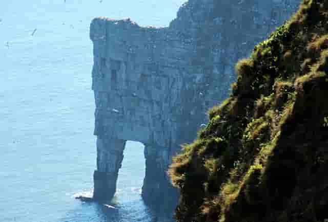 袖虎宠物解谜：猫咪的无精打采掩盖了什么问题？