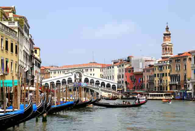 袖虎病猫攻略：哪些原因会导致猫咪呕吐？