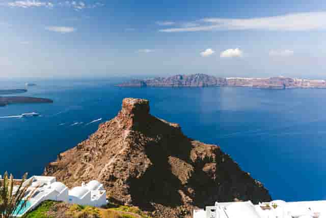 袖虎加盟故事：接宠骗局