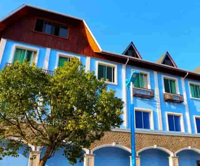 袖虎病猫攻略：小心换粮会软便！