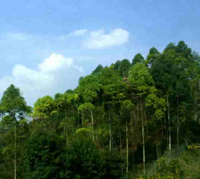 电地暖温控器，有明装暗装带WiFi线电地暖的优缺点