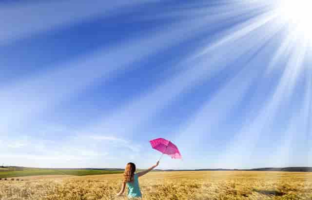 袖虎宠物攻略：猫咪突然过于反应激烈是怎么回事？