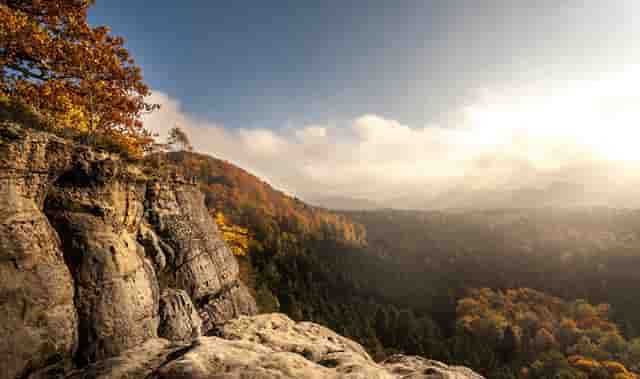 东风天锦单桥畜禽运输车HCQ5180CCQDF6