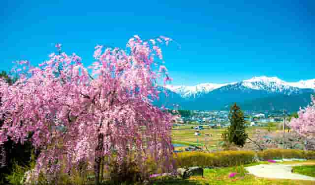 胡海泉灥喜锅必备的几种火锅配菜