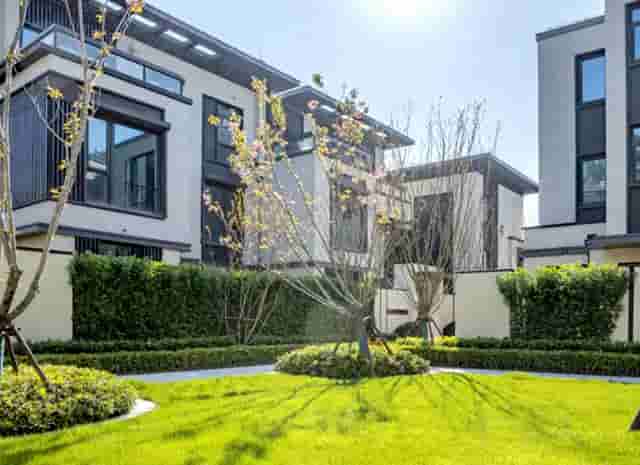 西比曼正式宣布启动脂肪间充质干细胞产品AlloJoin®的III期临床试验