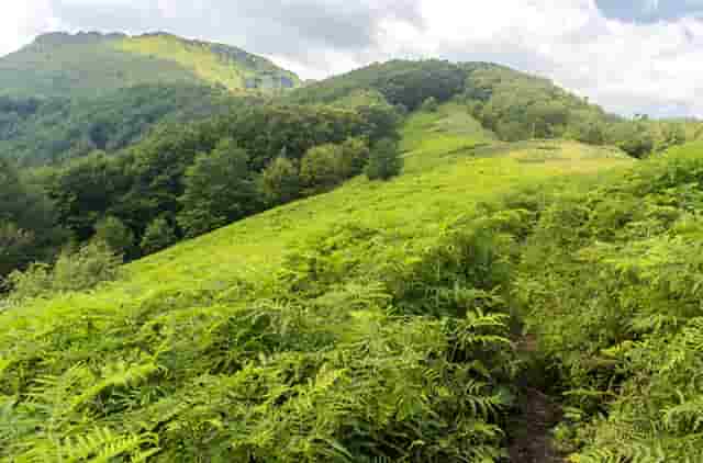 辽宁在线网校系统哪种好，网校系统搭建公司